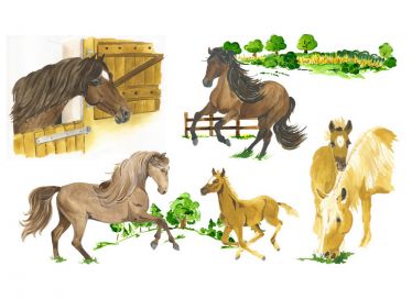 Illustrierte Pferde-Motive